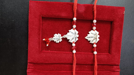 Combo of two Rakhi